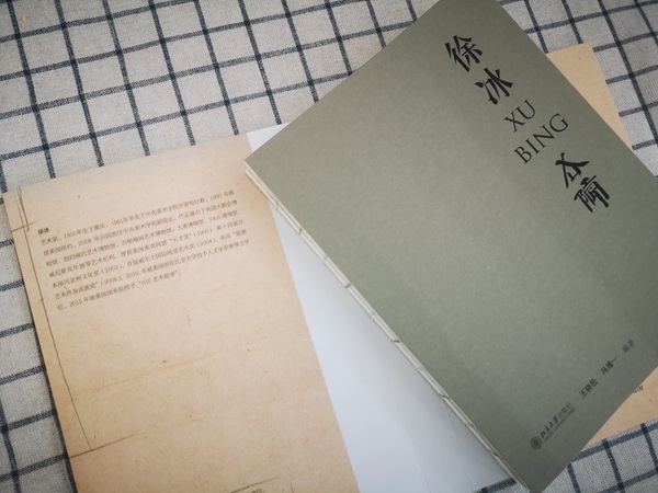 《徐冰》外封.jpg